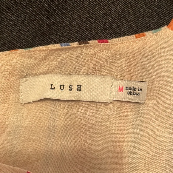 Lush Brande Multi Colored Stripped Dress - Picture 3 of 5